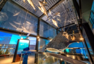 國立海洋科技博物館